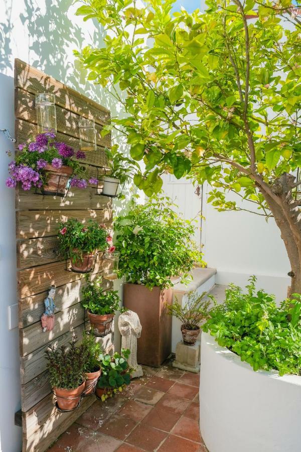 Sao Paulo Boutique - Spbh 4* Tavira