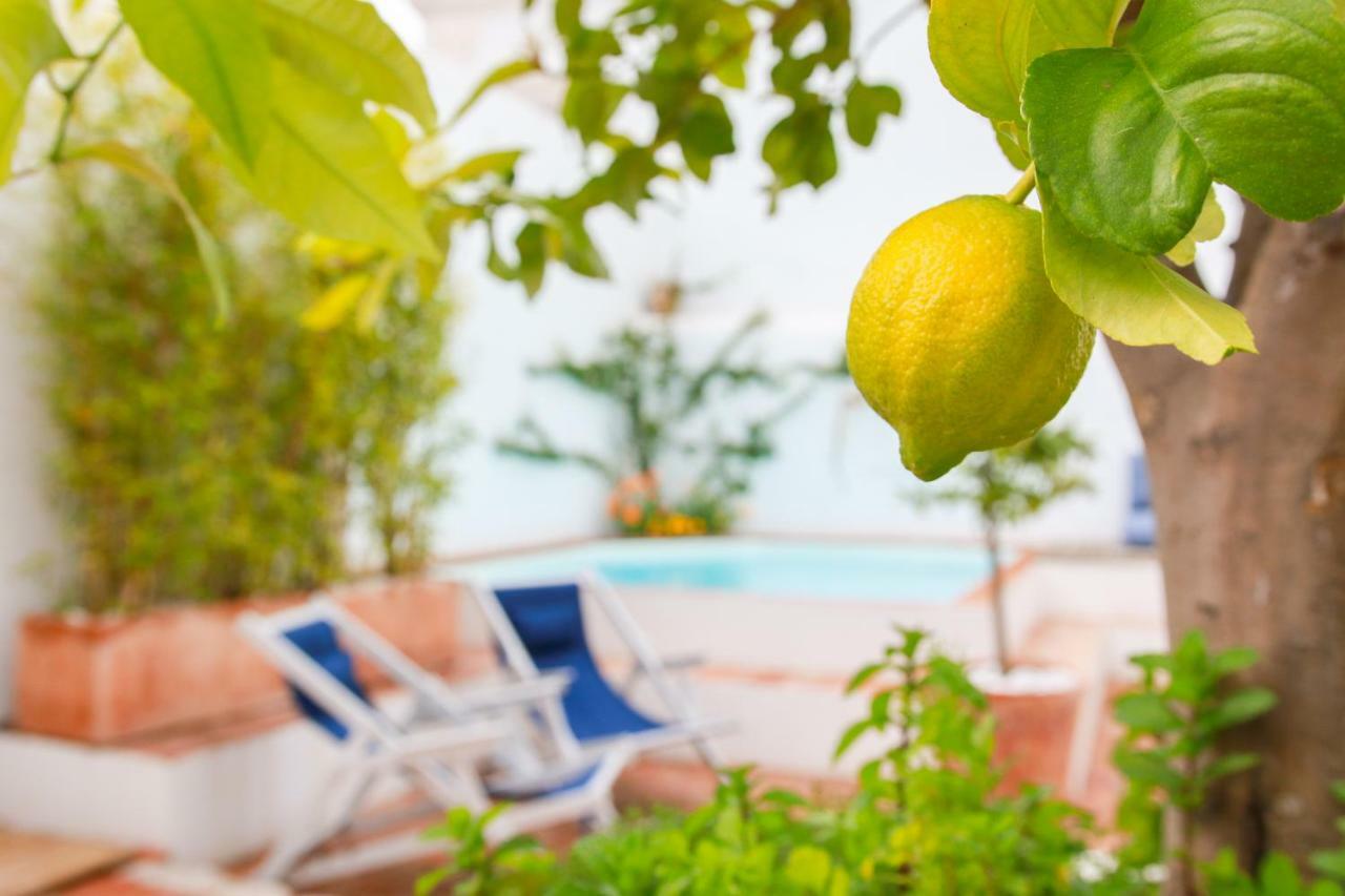 Sao Paulo Boutique - Spbh 4* Tavira